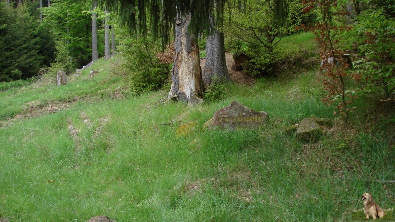 Ritterstein Nr. 037-4 R. Kaleseyerhof 1855.JPG - Ritterstein Nr.37 R. Kaleseyerhof 1855